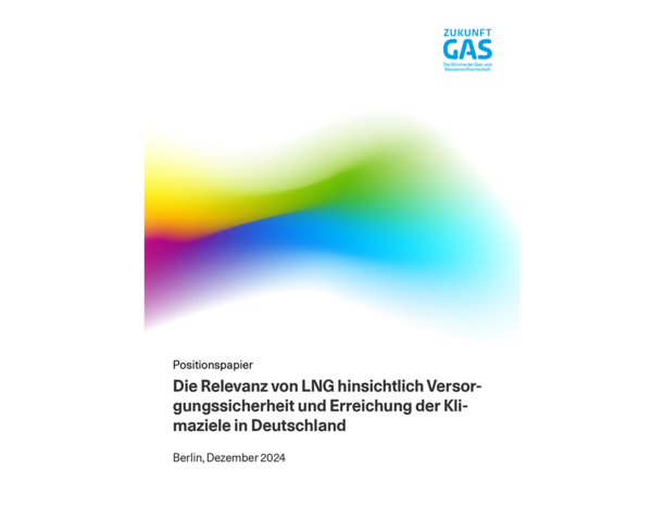 Cover des Positionspapiers: Wege zu einem emissionsfreien Schwerlastverkehr – Förderung des Hochlaufs von Bio-LNG und Erfüllung der Ziele der Erneuerbare-Energien-Richtlinie III