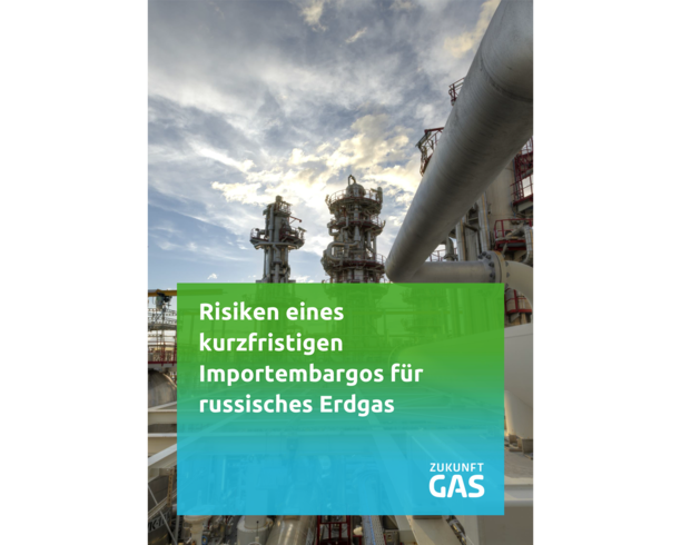 Fakten und Risiken eines Gas-Importembargos